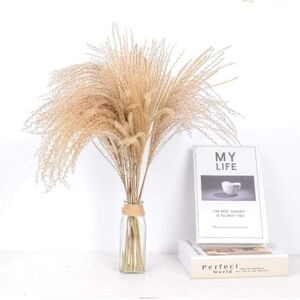 Natural dried Pampas Grass reed flower decoration 45pc